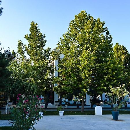 Mesecev Konak Panzió Ni Kültér fotó