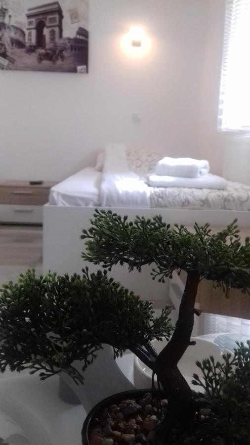 Mesecev Konak Panzió Ni Kültér fotó