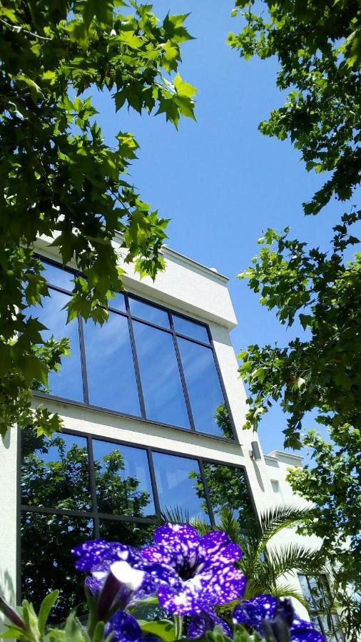 Mesecev Konak Panzió Ni Kültér fotó